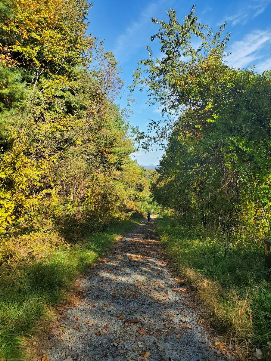 The driveway to Goodwins Peak in early fall 2022